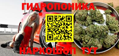 гашик Бугуруслан