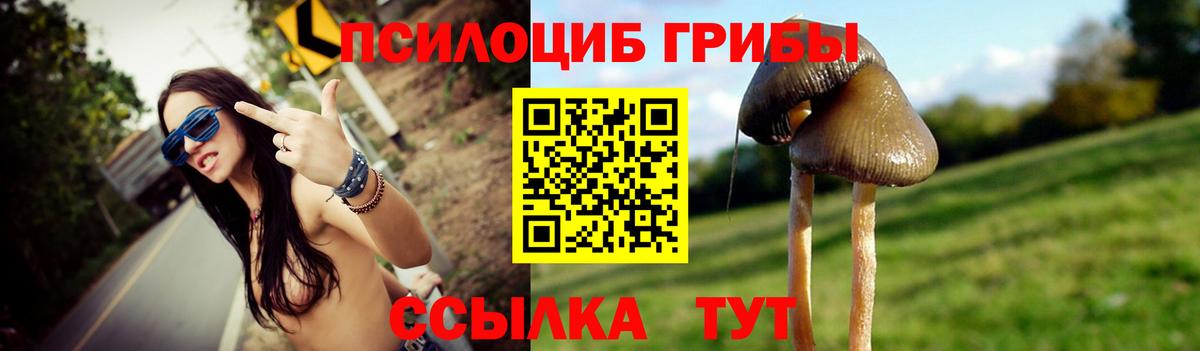 где продают   Галлюциногенные грибы прущие грибы  Кыштым  Вход с VPN  Галлюциногенные грибы MAGIC MUSHROOMS 
